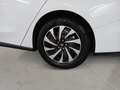 Ford Focus Titanium X Turnier 1,0 125PS Weiß - thumbnail 11