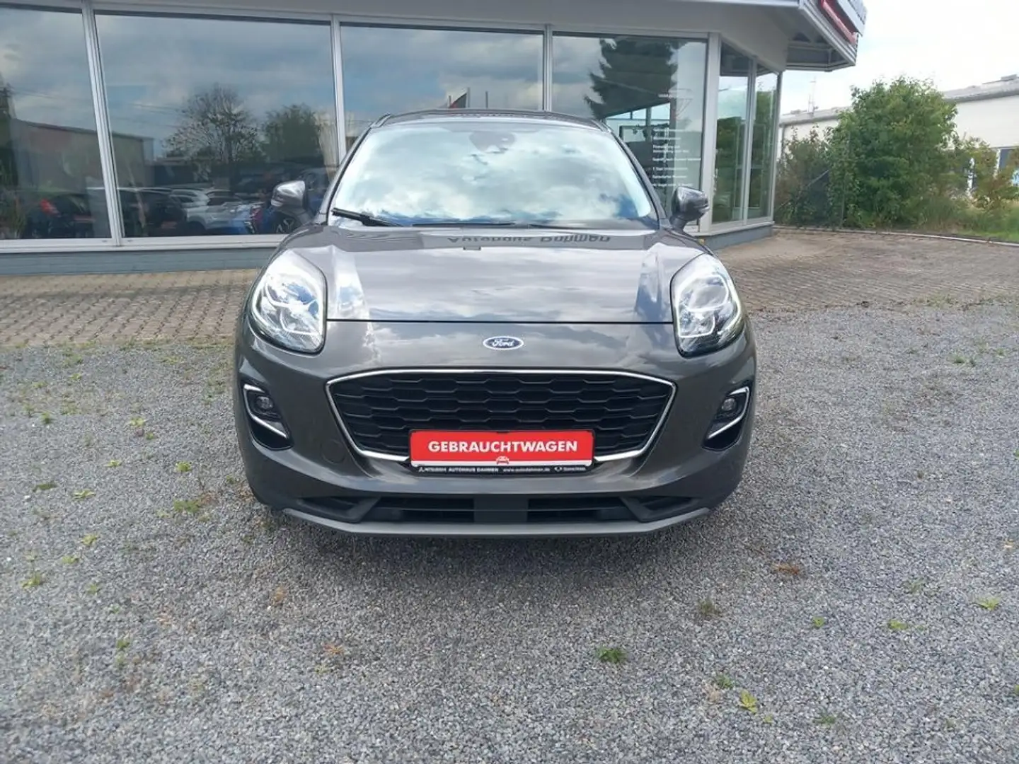 Ford Puma 1.0 Titanium Parkassistent - 2