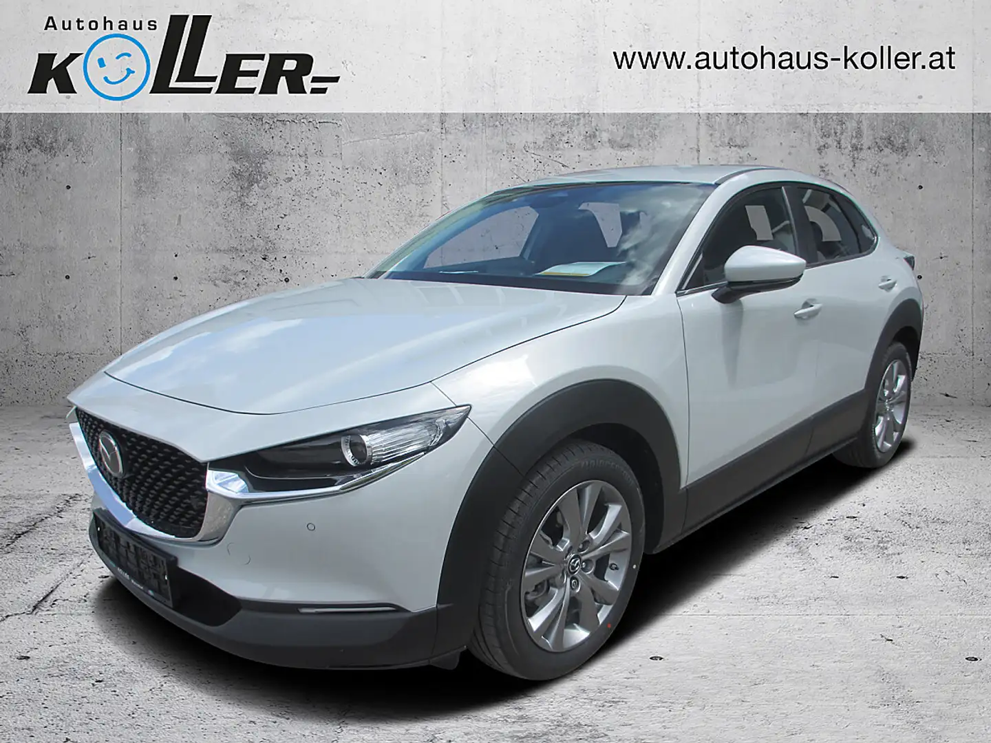 Mazda CX-30 /G140/Centre-Line Grau - 1