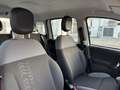 Fiat Panda PANDA 1.2 BENZINA 20.000KM ORIGINALI 5 POSTI Bianco - thumbnail 12