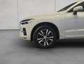 Volvo XC60 XC60 B4 D Geartronic Momentum Pro Weiß - thumbnail 19