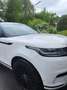 Land Rover Range Rover Velar Range Rover Velar P400 MHEV Allrad S Aut. S Blanc - thumbnail 5