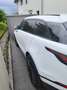 Land Rover Range Rover Velar Range Rover Velar P400 MHEV Allrad S Aut. S Blanc - thumbnail 6