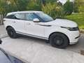 Land Rover Range Rover Velar Range Rover Velar P400 MHEV Allrad S Aut. S Blanc - thumbnail 3