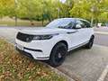 Land Rover Range Rover Velar Range Rover Velar P400 MHEV Allrad S Aut. S Blanc - thumbnail 1