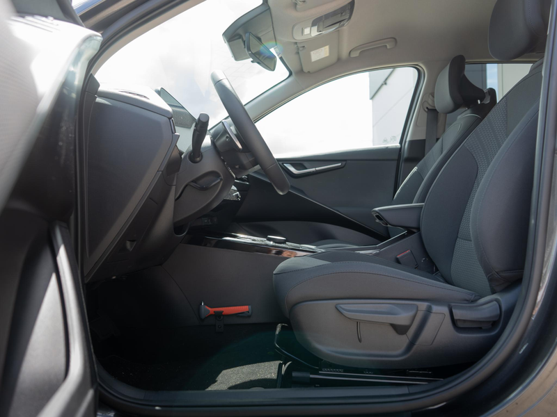 Kia e-Niro EV Limited Edition 64.8 kWh Stoel en stuurverwarmi — photo 15