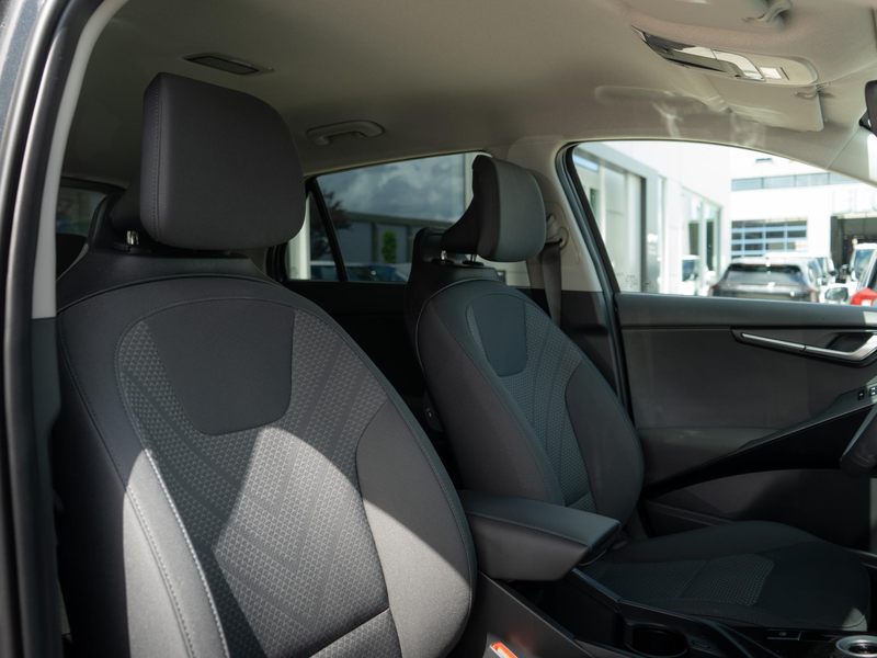 Kia e-Niro EV Limited Edition 64.8 kWh Stoel en stuurverwarmi — photo 5