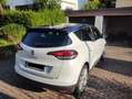 Renault Scenic LIMITED Deluxe TCe 115 Weiß - thumbnail 6