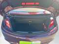Opel Cascada 2,0 CDTI Ecoflex Cosmo Start/Stop System Rot - thumbnail 8
