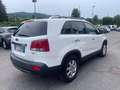 Kia Sorento 2.2 crdi 16v Active 4wd auto Blanc - thumbnail 4