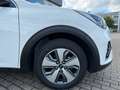 Kia Niro Vision PHEV ACC CARPL/ANDROPDC KAMERA Weiß - thumbnail 4