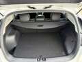Kia Niro Vision PHEV ACC CARPL/ANDROPDC KAMERA Weiß - thumbnail 8
