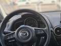 Mazda 2 Mazda 2 G75 Takumi Rot - thumbnail 16