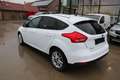 Ford Focus 1.0 EcoBoost Business Class + 1 JAAR GARANTIE Blanc - thumbnail 8