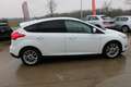 Ford Focus 1.0 EcoBoost Business Class + 1 JAAR GARANTIE Blanc - thumbnail 5
