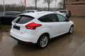 Ford Focus 1.0 EcoBoost Business Class + 1 JAAR GARANTIE Blanc - thumbnail 6