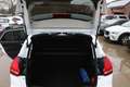 Ford Focus 1.0 EcoBoost Business Class + 1 JAAR GARANTIE Blanc - thumbnail 13
