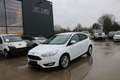 Ford Focus 1.0 EcoBoost Business Class + 1 JAAR GARANTIE Blanc - thumbnail 1