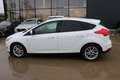 Ford Focus 1.0 EcoBoost Business Class + 1 JAAR GARANTIE Blanc - thumbnail 9