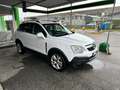 Opel Antara Antara 2006 2.0 cdti Cosmo 150cv auto Bianco - thumbnail 3
