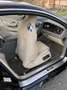 Bentley Continental GT Negro - thumbnail 8