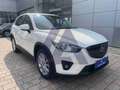 Mazda CX-5 CX-5 2.2 Exceed 4wd 175cv 6at Wit - thumbnail 2