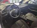 Mazda CX-30 2.0L e-Skyactiv-G 150 CV  Hybrid 2WD Exclusive Li Bianco - thumbnail 6