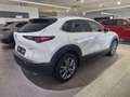 Mazda CX-30 2.0L e-Skyactiv-G 150 CV  Hybrid 2WD Exclusive Li Bianco - thumbnail 4
