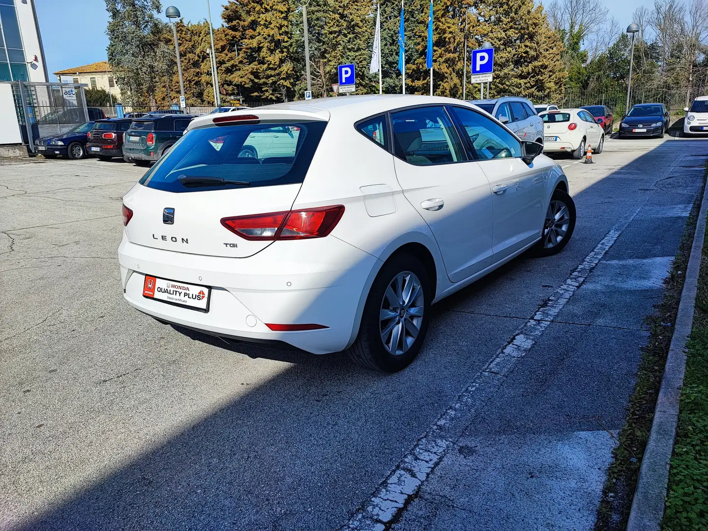 SEAT Leon 1.5 tgi Business 130cv Bianco - 2