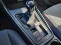 SEAT Leon 1.5 tgi Business 130cv Bianco - thumbnail 5