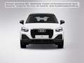 Audi Q2 35 TFSI 6-Gang AHK MATRIX PDC RFK PANO Weiß - thumbnail 5