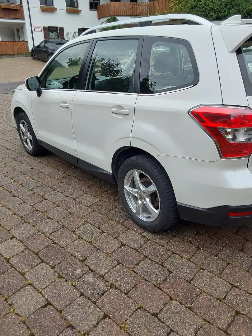 Subaru Forester Forester 2,0D Comfort S CVT Comfort S Weiß - 1