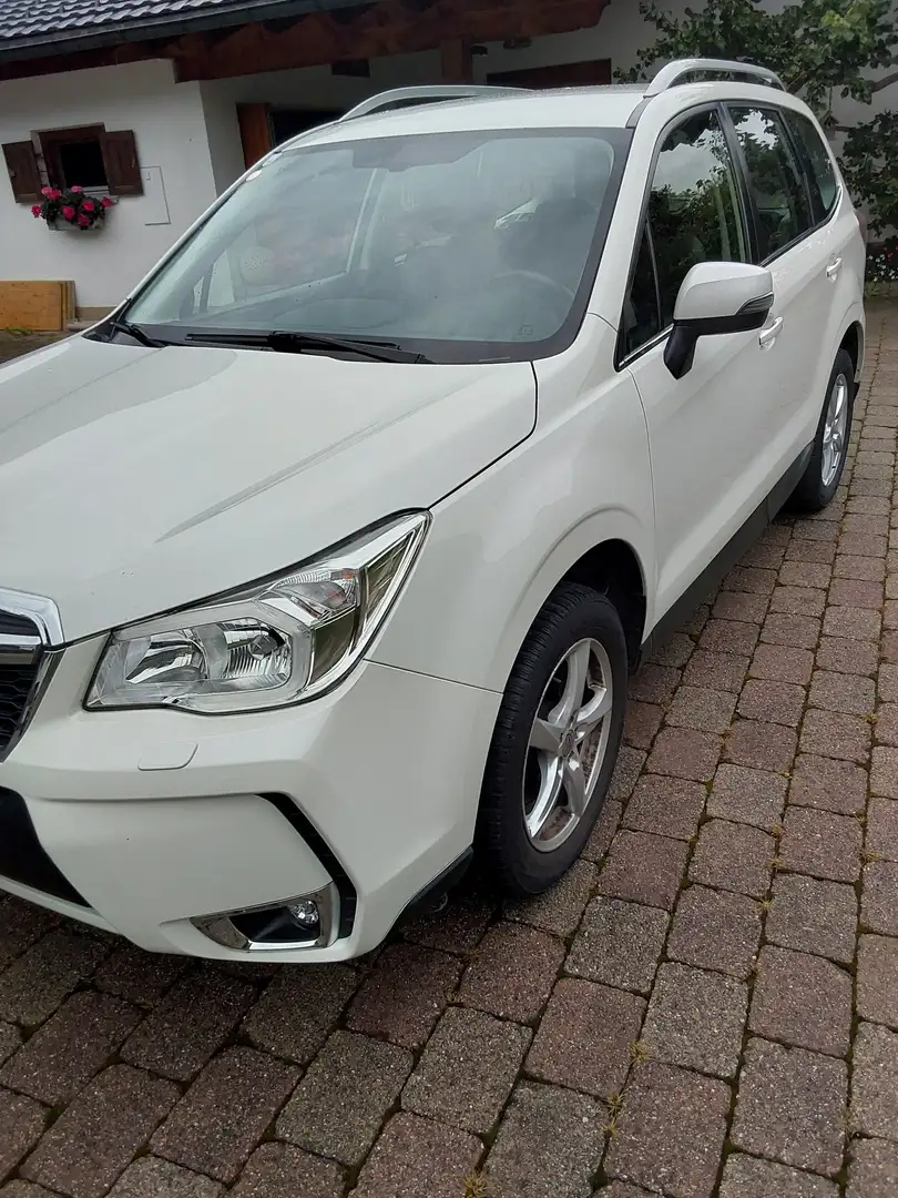 Subaru Forester Forester 2,0D Comfort S CVT Comfort S Weiß - 2