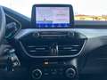 Ford Focus 1.5 EcoBlue 120 CV automatico 5p. Business Co-Pilo Blu/Azzurro - thumbnail 13