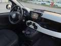 Fiat Panda Pandina 1.0 firefly hybrid s&s 70cv Verde - thumbnail 7