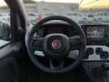 Fiat Panda Pandina 1.0 firefly hybrid s&s 70cv Verde - thumbnail 21
