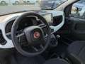 Fiat Panda Pandina 1.0 firefly hybrid s&s 70cv Verde - thumbnail 20