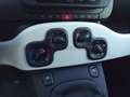 Fiat Panda Pandina 1.0 firefly hybrid s&s 70cv Verde - thumbnail 10