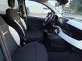 Fiat Panda Pandina 1.0 firefly hybrid s&s 70cv Verde - thumbnail 24