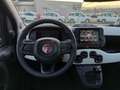 Fiat Panda Pandina 1.0 firefly hybrid s&s 70cv Verde - thumbnail 8