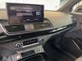 Audi Q5 S line 55 TFSIe quattro Matrix Kamera ACC Bianco - thumbnail 12