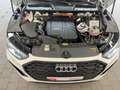 Audi Q5 S line 55 TFSIe quattro Matrix Kamera ACC Weiß - thumbnail 19