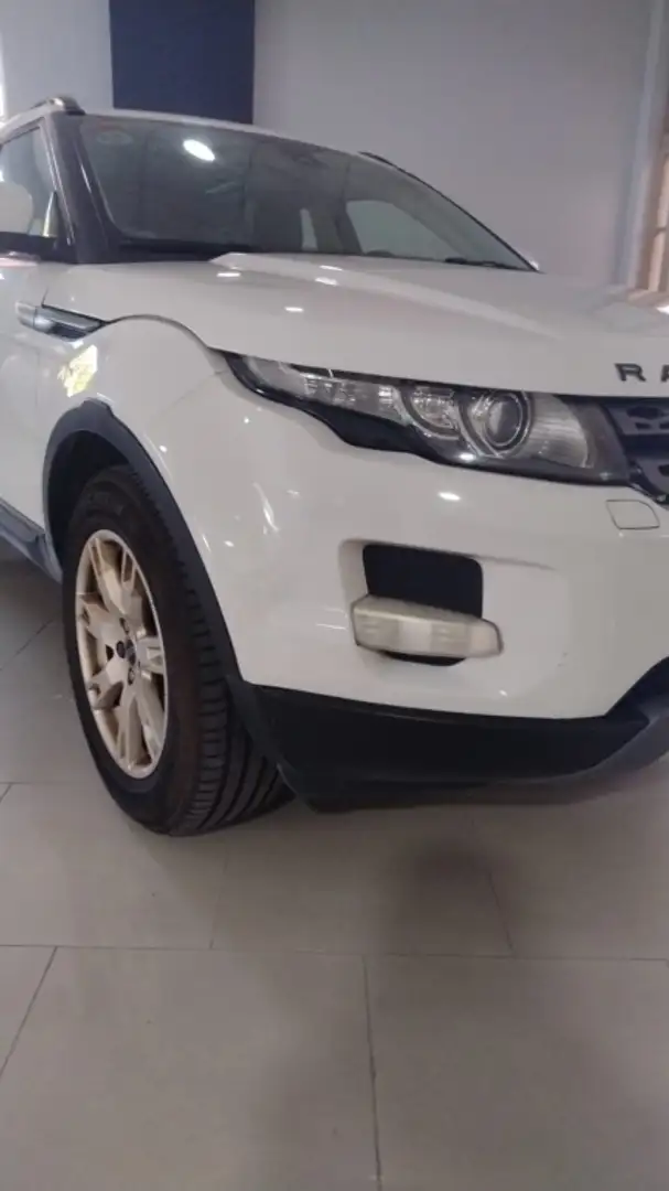 Land Rover LAND-ROVER Range Rover Evoque Todoterreno Automá Blanco - 2