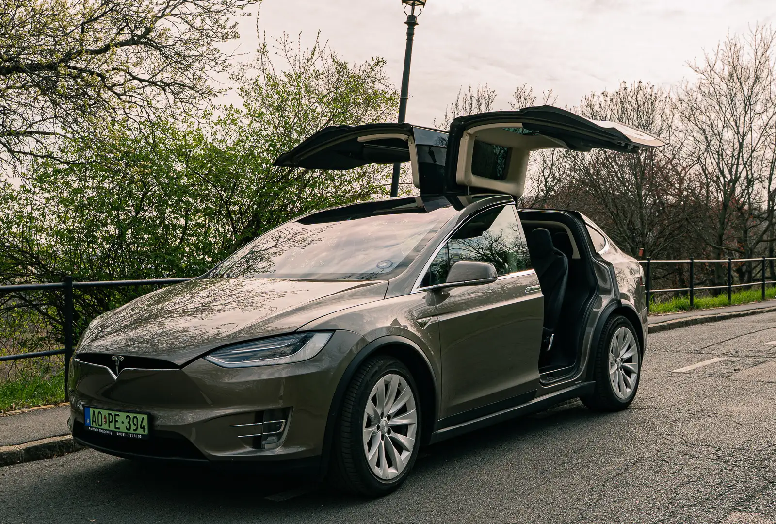 Tesla Model X 90D Free Supercharger SC01 - 1