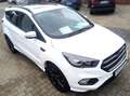 Ford Kuga ST-Line AHK EcoBoost Automatik Winterpaket Weiß - thumbnail 15