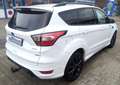 Ford Kuga ST-Line AHK EcoBoost Automatik Winterpaket Weiß - thumbnail 12