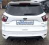Ford Kuga ST-Line AHK EcoBoost Automatik Winterpaket Weiß - thumbnail 11