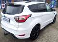 Ford Kuga ST-Line AHK EcoBoost Automatik Winterpaket Weiß - thumbnail 14