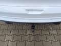 Ford Kuga ST-Line AHK EcoBoost Automatik Winterpaket Weiß - thumbnail 6
