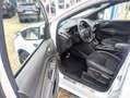 Ford Kuga ST-Line AHK EcoBoost Automatik Winterpaket Weiß - thumbnail 13